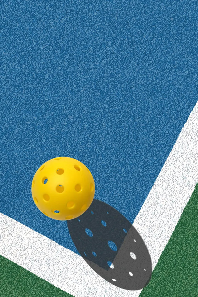 pickleball gifts for holidays